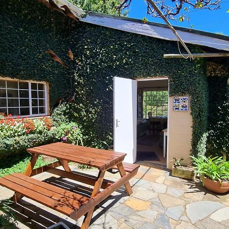 Yellowwood Cottage 海姆维尔 外观 照片