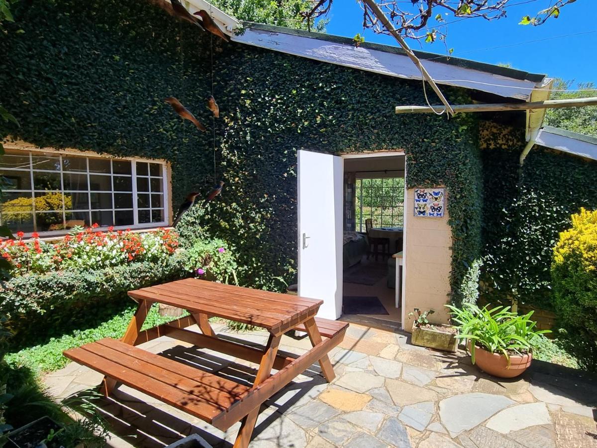 Yellowwood Cottage 海姆维尔 外观 照片