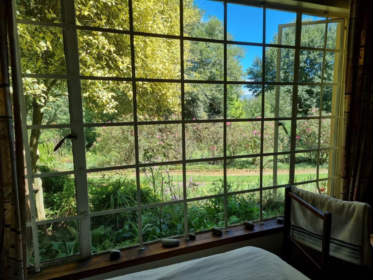 Yellowwood Cottage 海姆维尔 外观 照片
