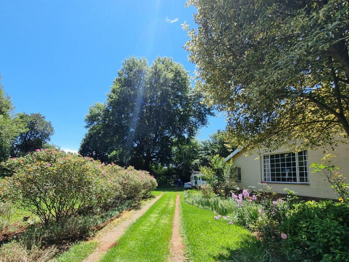 Yellowwood Cottage 海姆维尔 外观 照片