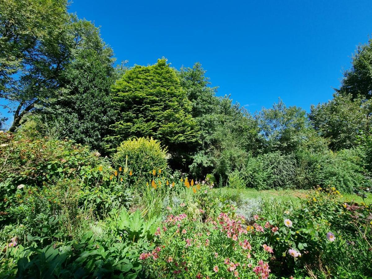 Yellowwood Cottage 海姆维尔 外观 照片