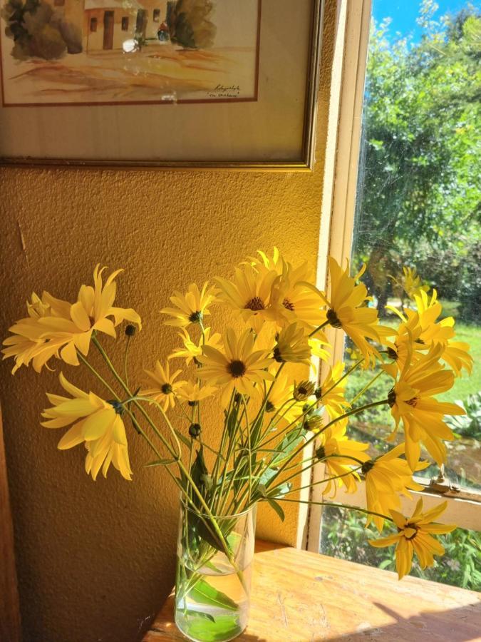 Yellowwood Cottage 海姆维尔 外观 照片